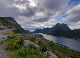 Gryllefjord observasjonskurve