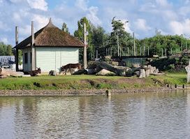 Center Parcs De Huttenheugte