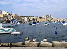 Dhalia - Marsaskala Branch