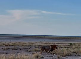 Anderson Gate Etosha National Park (Southern Entrance)