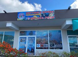SCUBA DIVE NEPTUNE'S DIVERS PR PADI