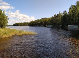 Malonsaari