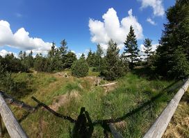 Georgenfelder Hochmoor