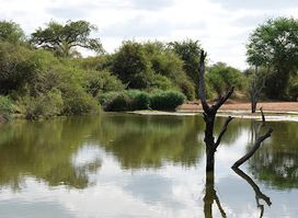 Hoedspruit Wildlife Estate