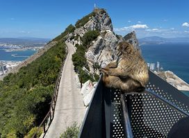 Gibraltar Cable Car