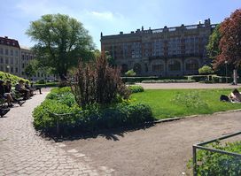 Haga Kyrkoplan