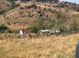 swazi