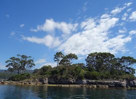 Isle of the Dead