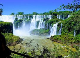 Iguazu National Park Nature Interpretation Center