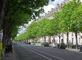 Av. Montaigne