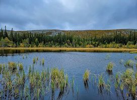 Fulufjället National Park