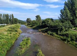 Trgoviški Timok