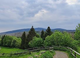 Nationalpark-Besucherzentrum TorfHaus