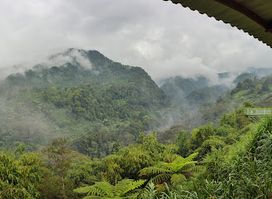 Taman Safari Indonesia Bogor