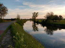 De Linge