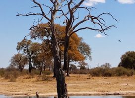 Hwange Aerodrome