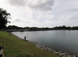 MacRitchie Prunus Trail