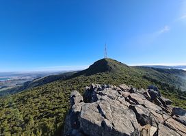 Mount Cargill