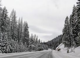 Malheur National Forest