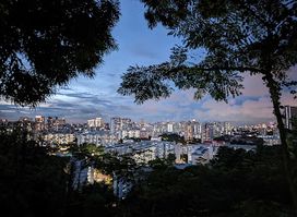 Mount Faber Grace Park
