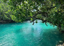 Vila Hope Tours & Transfers