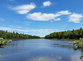 Irishtown Nature Park