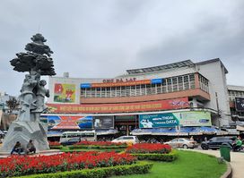 Shop hạ