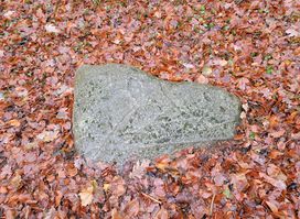 Mägdesprung Bergen auf Rügen