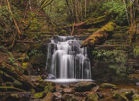 Strickland Falls