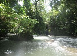 Adventure Quad Tours Port Vila Vanuatu