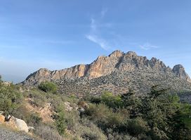 Kyrenia Animal Rescue Centre