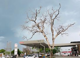 TotalEnergies Kamunu Service Station