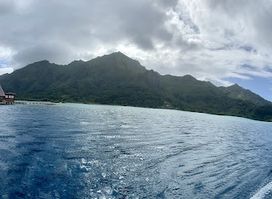 Raiatea Pearl