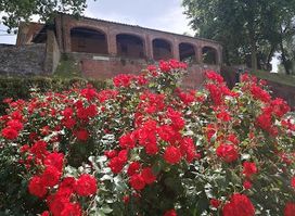 Piazzale Umberto I