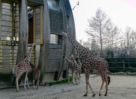 Rivièrahal Blijdorp Rotterdam Zoo