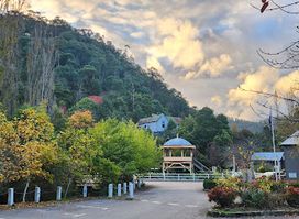 Autumn Paradise Lookout