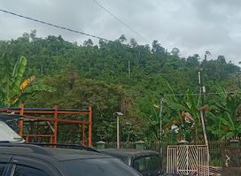 Papua Tengah