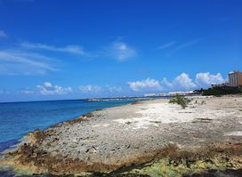 Bubali Bird Sanctuary