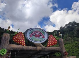 Big Red Strawberry Farm