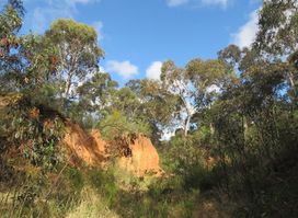 Scott Conservation Park