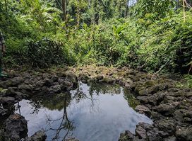 BUHANGA ECO-PARK