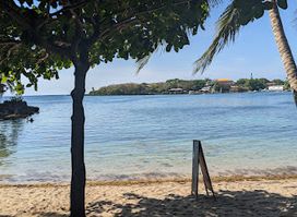 Pura Vida Roatán