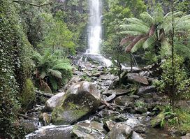 Straw Falls