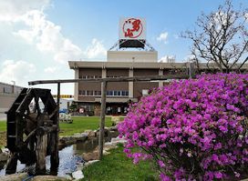 Otokoyama Sake Brewing Museum