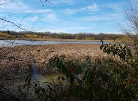 Stinchcomb Wildlife Refuge