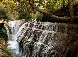مطعم الشلالات - waterfalls restaurant