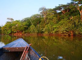 Excursiones Gamboa