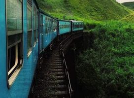 Horton plains Safari
