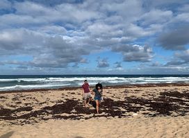 Morgan Lewis Beach