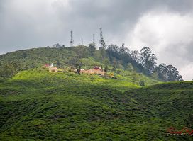 Swarnagiri Maha Viharaya / Single Tree Temple